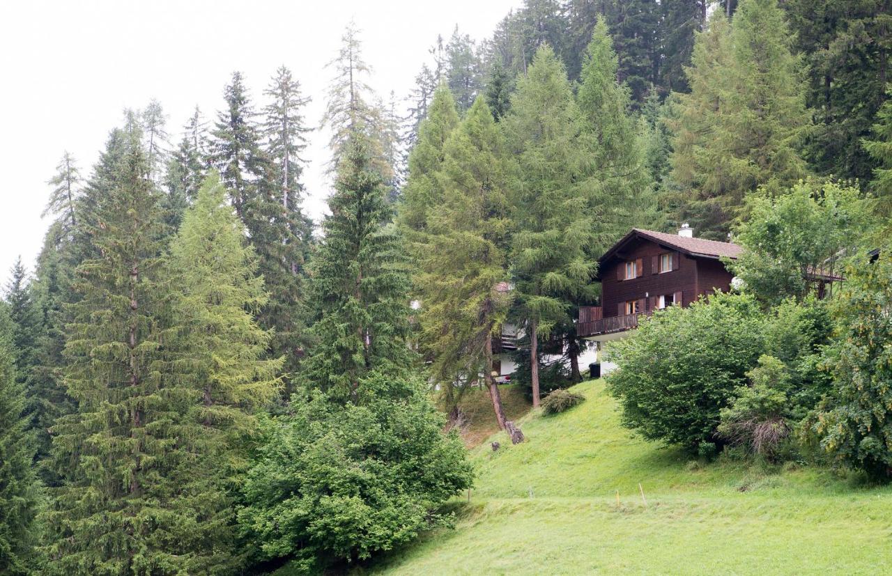 5 Room House Joch Churwalden- Lenzerheide Exterior photo